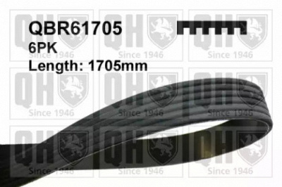 QUINTON HAZELL qbr61705 -  Поликлиновой ремень